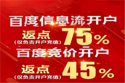 SEO与SEM服务结合的实战案例